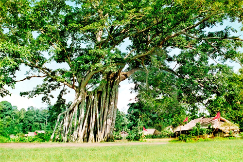 HÀ NỘI - TÂN TRÀO - ĐỒNG VĂN - BA BỂ - CAO BẰNG - LẠNG SƠN